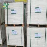 Heat Insulation Cup Stock Paper Board Waterproof 1200mm 190gsm 210gsm 240gsm