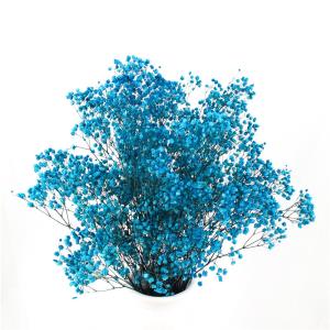 Wholesale Non Toxic Harmless Preserved Baby Breath Flowers For Ins Valentine Gift from china suppliers