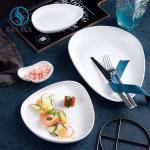 Events Scandinavian Porcelain Plates Fully Vitrified Artistry Porcelain Dinner