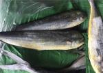 Seafood Coryphaena Hippurus BQF 1KG Frozen Mahi Mahi