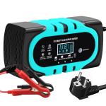 Factory Customized OEM 12V 10A Lead Acid Smart Battery Charger for Sale