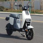 L1-D 350W new two-wheeled electric vehicle