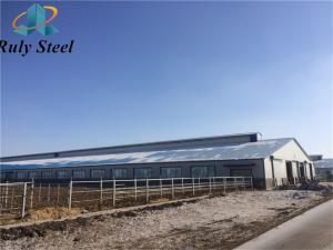Wholesale Large Span Steel Poultry House Prefab House Building Construction from china suppliers