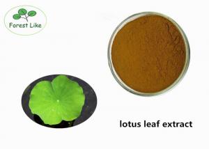 Wholesale Food Grade Natural Weight Loss Powder , Lotus Leaf Extract Powder With 5% Nuciferine from china suppliers