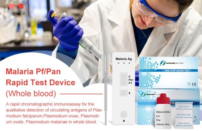 Whole Blood Malaria Rapid Diagnostic Test Kit PF PV Pan Infectious Disease Test