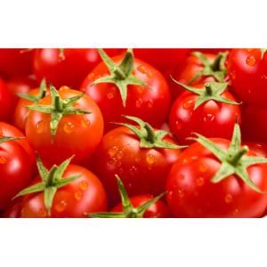 Fresh Tomato Puree Processing Line 6.5t/H High Capacity