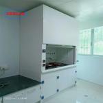 High Efficiency Laboratory Fume Cupboard 220V 380V Automatic OEM