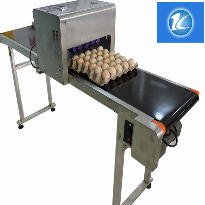 Nozzle Thermal Foam Type Egg Printing Machine With Six Heads And SGS Guarantee