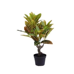 Wholesale Croton Artificial House Plants , Fake Plant Decor Flame Retardant Eco Friendly from china suppliers