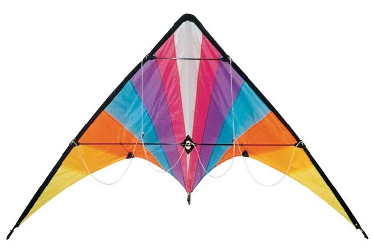 Customized Color Delta Stunt Kite For Kids / Adults Playing Various Size