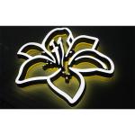 Outdoor Indoor Glowing Signs Shop Front Glowing Back Glowing Letters Signs