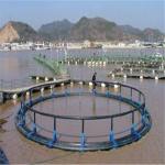 PE Bracket HDPE Fish Cage Trap Non Toxic 250/315mm Pipe Size For Sea Farming
