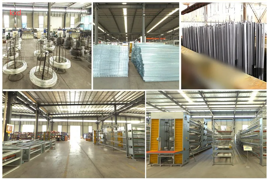 Corrosion Resistant Hot-dip Galvanized Layer Chicken Cage with High Egg Laying Rate for Poultry Farming