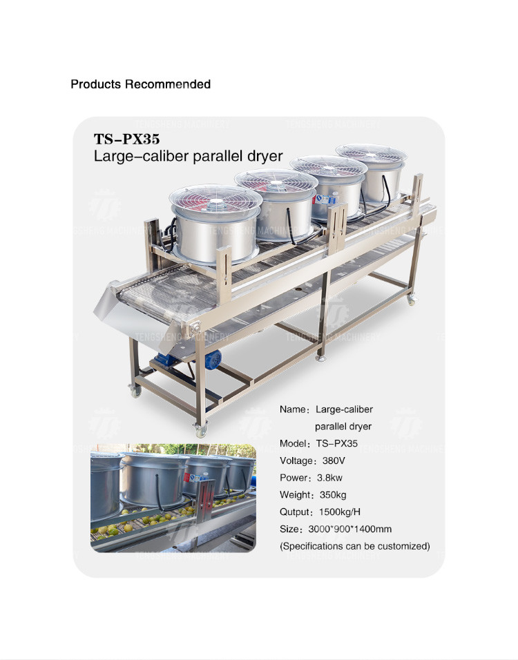 2KW Vegetable Processing Machine Stainless Steel Fruit Drying Selection Machine