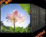 Customized Size Transparent LED Display Screen for Outdoors Shipping Weight 19