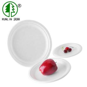 Wholesale 7 Inch White Cake Biodegradable Disposable Dishes For BBQ And Parties from china suppliers