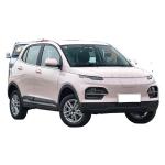Electric SUV Dayun Yuehu Left and Right Rudder Electric Vehicle for Energy