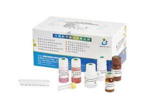 Wholesale 96T/ Elastase Assay Kit BRED-006 from china suppliers