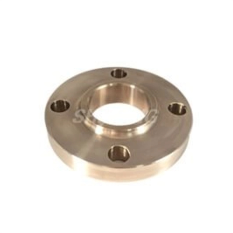 Copper Nickel Class 300 3 4 5 6 Inch RF RTJ ASTM Forged TH WN So BL Cuni C70600 Flanges