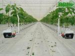 Beautiful Agricultural Glass Greenhouse , Commercial Greenhouse Structures Wind