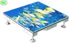 P3.91 Indoor Full Color LED Lighting Dance Floor 250*250mm LED Module 65410