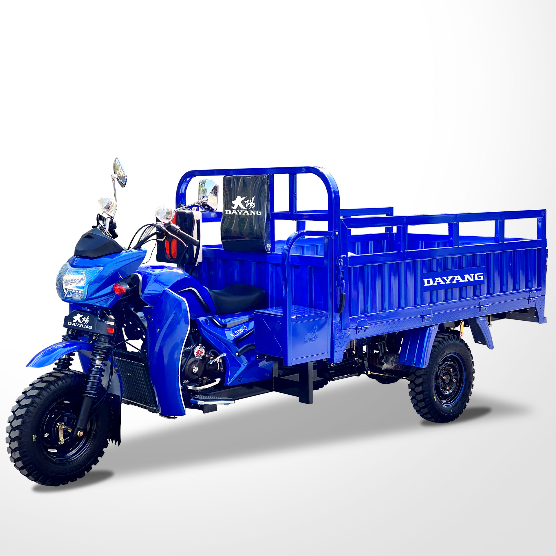 Motorized 800 W DAYANG 300 Petrol 3 Wheel Motorcycle and Tricycle for Heavy Loading