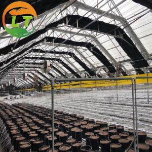 Wholesale Customizable Sides Ventilation Mushroom Greenhouse for Year-Round Production from china suppliers