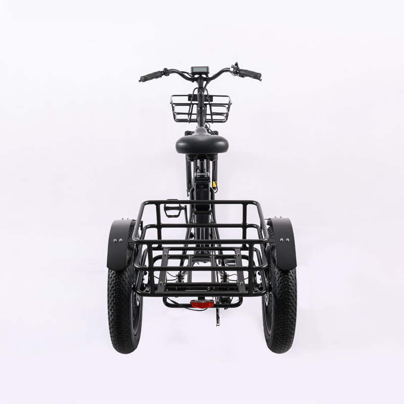 Wholesaler Adults 750w/500W 3 Wheel Electric Cargo Tricycle with Aluminium Alloy Fork