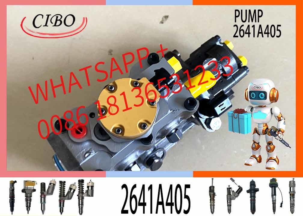 Fuel Pump Excavator Diesel Engine Parts Fuel Injection Pump 3240532 2641A405 For 315D C4.4 Engine