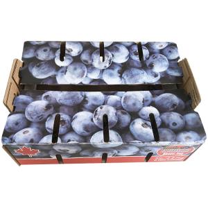Wholesale Single Wall Recycled Materials Cardboard Fruit Boxes , Apple Carton Box from china suppliers