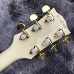 Double F-Holes Hollow Body Jazz Electric Guitar Ebony Fretboard Tremolo System