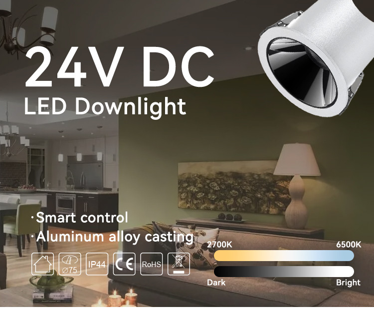 Tunable White 10W LED Downlight 24V/36V DC 2700-6500K Recessed Downlight