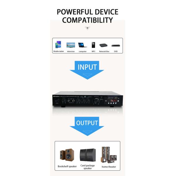 KTV Home Theatre System Professional Amplifier Board with 2 Mic Inputs and LDZS 5.1 Channel Stereo Mixer