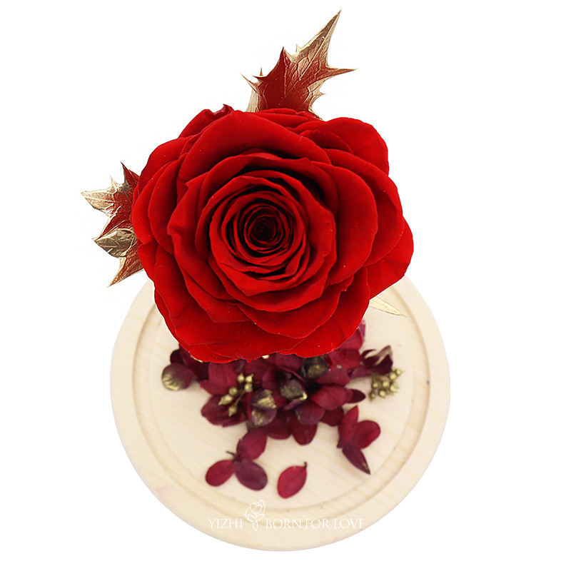 Handmade Preserved Long Lasting Rose In Glass Dome on Festive Party