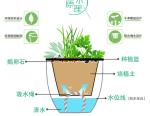 Automatic Water Absorbing Plastic Flower Pots / Garden Plant Pots Simplicity