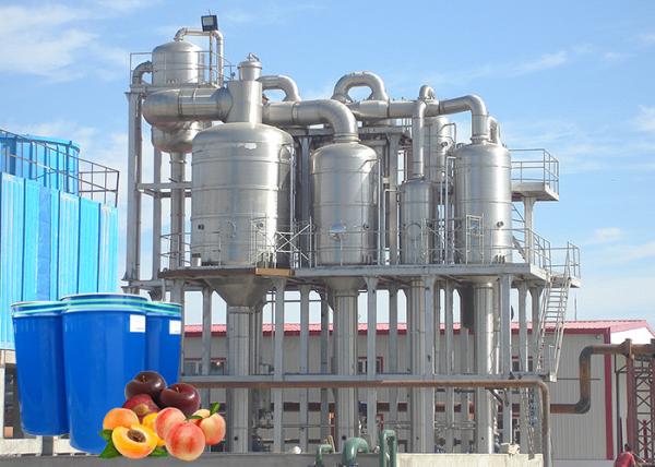 Commercial Peach Processing Plant Apricot Puree Plum Jam Production Line