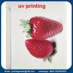 Plastic Signs with Full Color UV Ink Printing