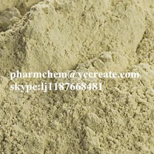 Wholesale Natural Franosterols Saponins CAS 90131-68-3 Tribulus Terrestris Extract from china suppliers