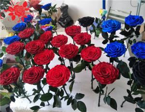 Wholesale 10cm Preserved Flower Rose with Stem Long 30cm Real natural fresh roses from china suppliers