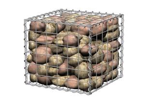 Wholesale 5.0mm Hot Dipped Galvanized Welded Gabion Mesh Heavy Duty Box 100x30x30cm from china suppliers