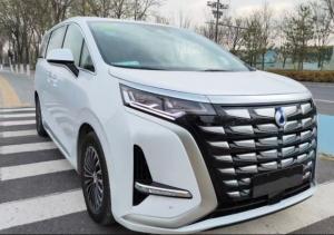 Wholesale Denza D9 Plug In Hybrid Electric Vehicle 4 Wheel Drive MPV 1.5T Engine 139HP 180km/H from china suppliers
