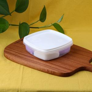 Wholesale Frozen 250ml Square Household Small Capacity Food Crisper Container Box from china suppliers