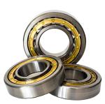 Nup Cylindrical Roller Bearing Gcr15 NUP220 Single Row Nup205 Bearing NUP200