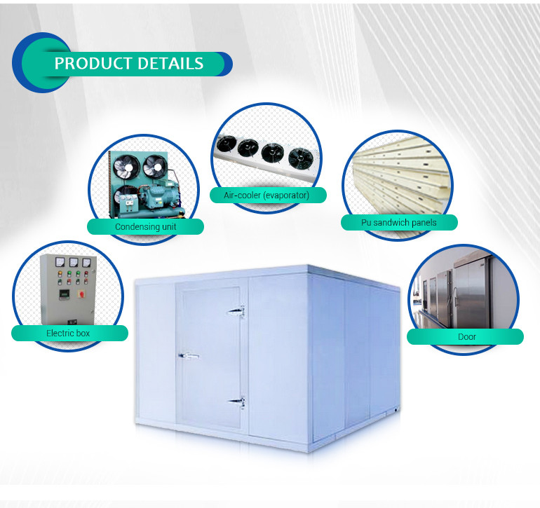 Meat / Chicken / Seafood Cold Storage Room With Customized Size