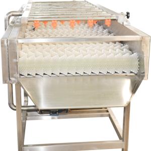 Wholesale Stainless Steel 220v Jujube Fruit Vegetable Washing Machine from china suppliers
