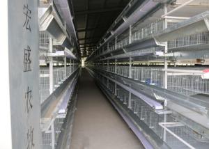 Wholesale Slivery H Frame Poultry Breeding Cages Heatproof 360 Degree Ratation Design from china suppliers