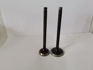 Wholesale Durable 3242A Diesel Engine Valve for PEUGEOT / CITROEN 1.1L / 1.4L / 1.6L 8V GAS from china suppliers