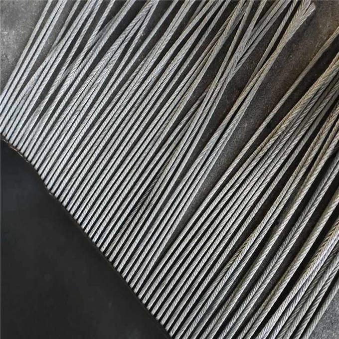 1600mm ST630 Impact-Resistant and Long-Lasting Wire Rope Conveyor Belt