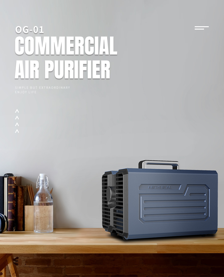 Fast Purification Ozone Generator Air Purifier Professinal 227x172x176 Mm