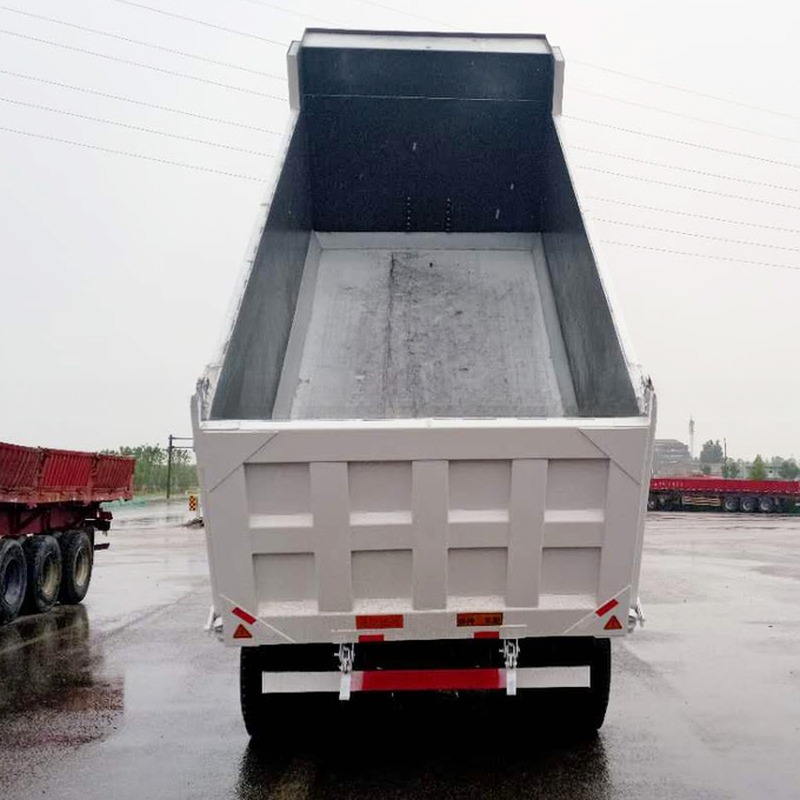 Sinotruk Howo 6x4 30 Ton Dump Tipper Truck with 2 Passenger Seats and Video Support